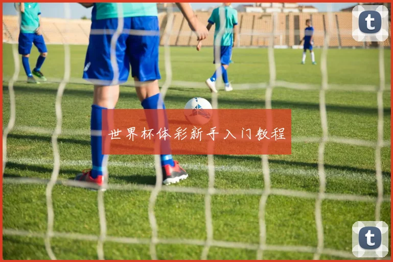 世界杯体彩新手入门教程