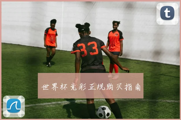 世界杯竞彩正规购买指南