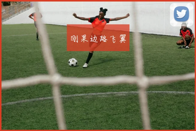 刚果边路飞翼