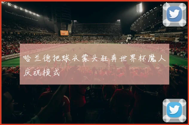 哈兰德把球衣蒙头狂奔世界杯魔人庆祝模式