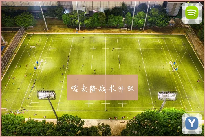 喀麦隆战术升级